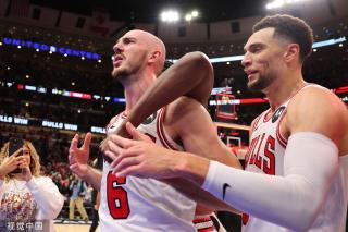 是新引进或 是新引进或